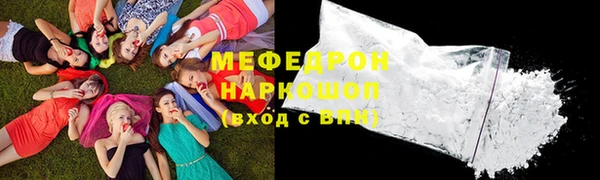 индика Горнозаводск