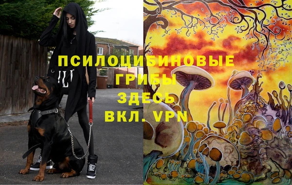 бутират Новокубанск