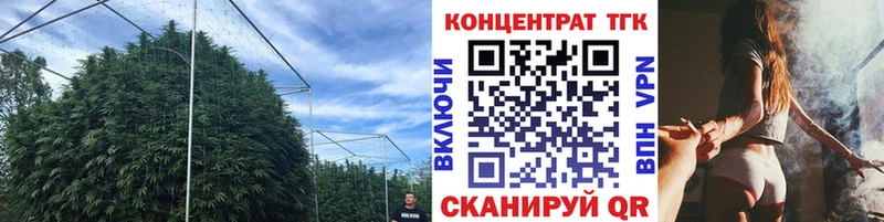 купить   Ивангород  Дистиллят ТГК Wax 