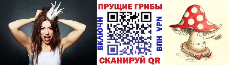 Галлюциногенные грибы GOLDEN TEACHER  мега маркетплейс  Ивангород 
